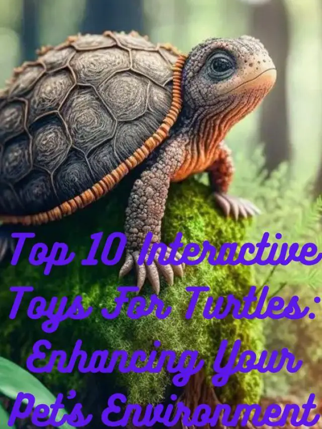 Top 10 Interactive Toys For Turtles: Enhancing Your Pet’s Environment